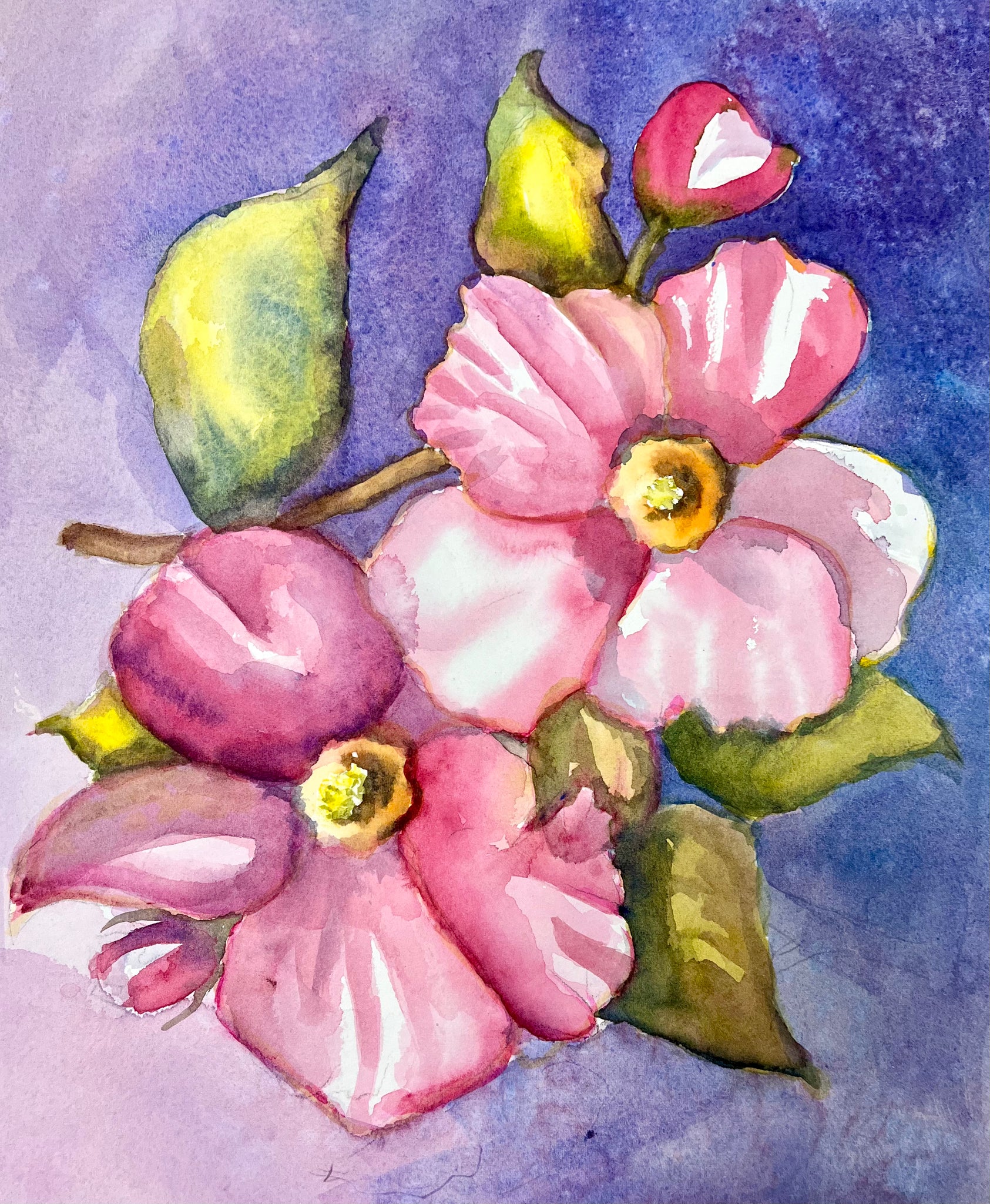 Watercolor painting of soft pink dogwood flowers with green leaves, set against a rich purple and blue background.